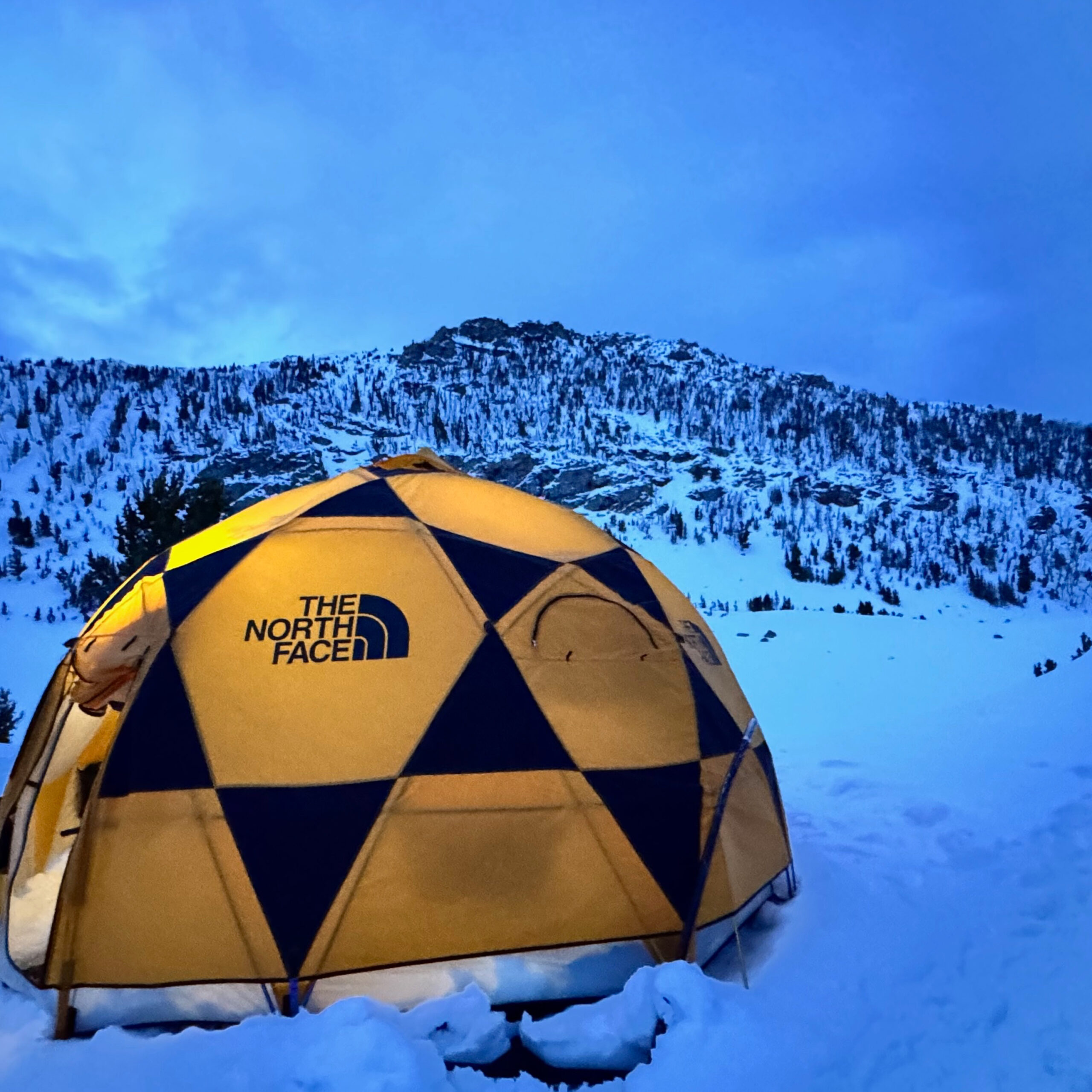 94. Natural Selection Finals Watch-Along